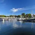 A marina with several sailboats docked along the piers, calm water reflecting the boats and blue sky, with trees and buildings in the background.