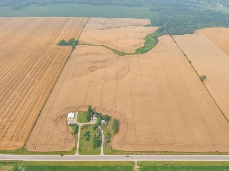Aerial view of large, golden farmland divided by a road, with a small cluster of buildings and trees near the center bottom.
