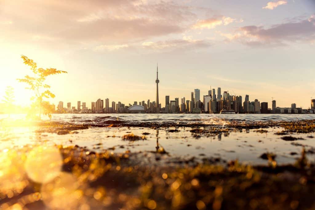 Toronto skyline at sunset with the CN Tower centered, seen from a low, watery shoreline with plants and sunlight reflecting on the water.