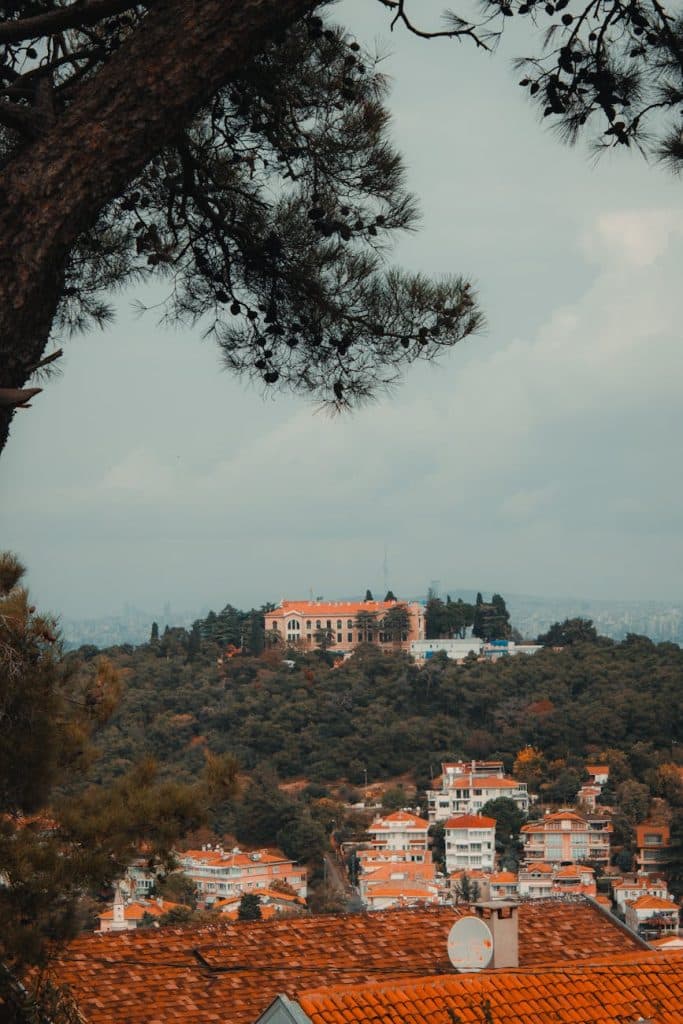 Captivating view of a historic estate on a hilltop in Istanbul, framed by lush trees.