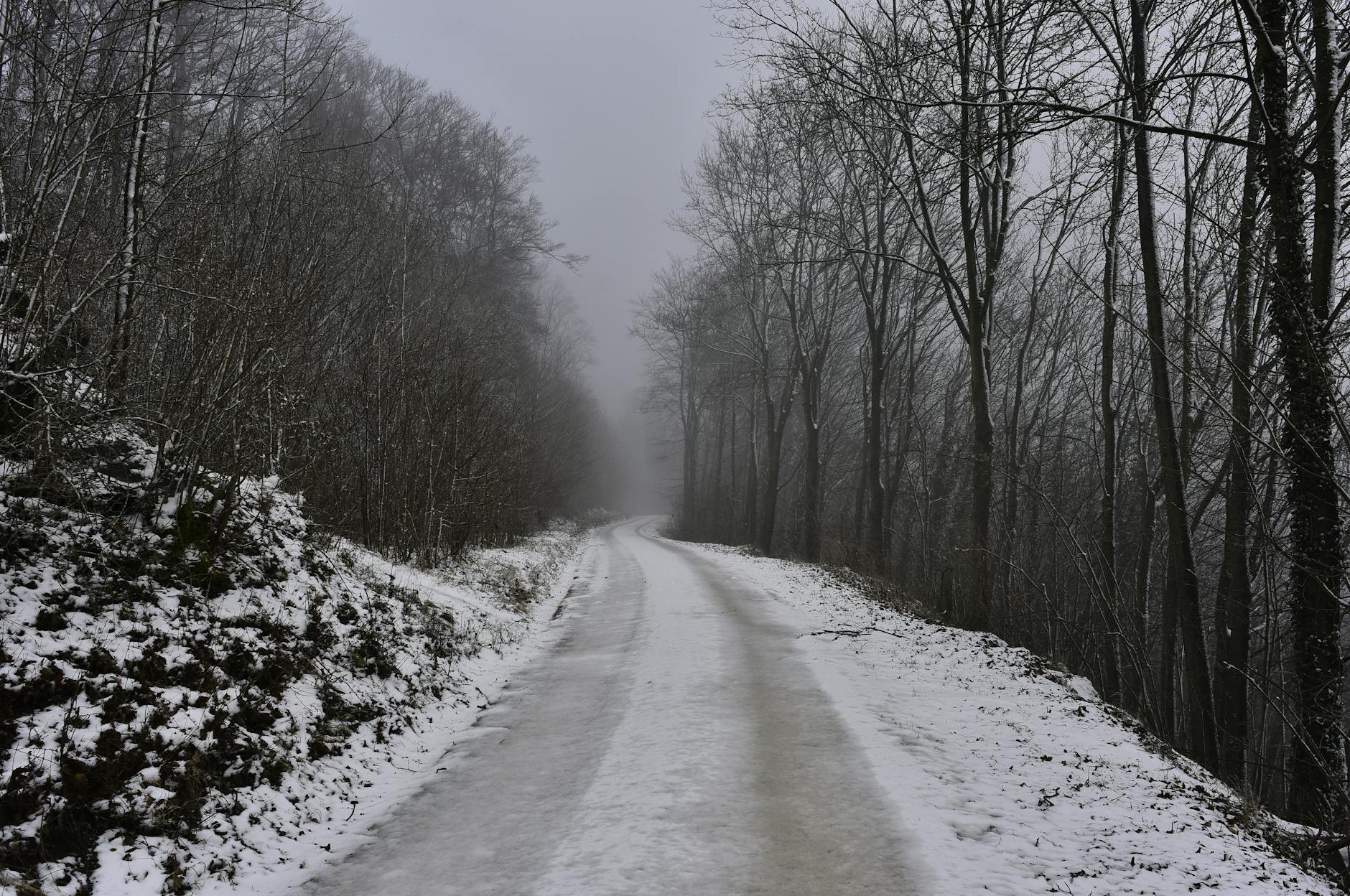 A serene winter landscape with a snow-covered path through a foggy forest.