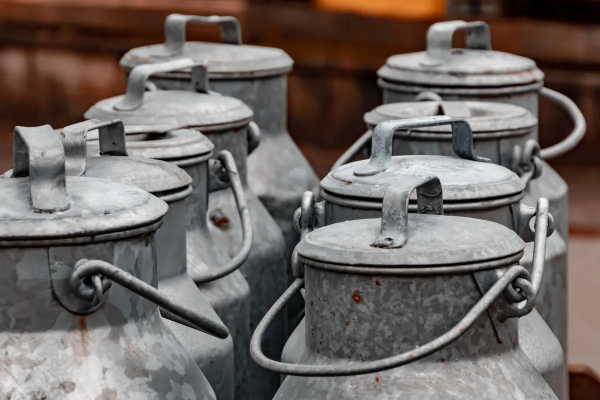 Vintage metal milk cans arranged outdoors, reflecting the dairy farming heritage in Ontario.